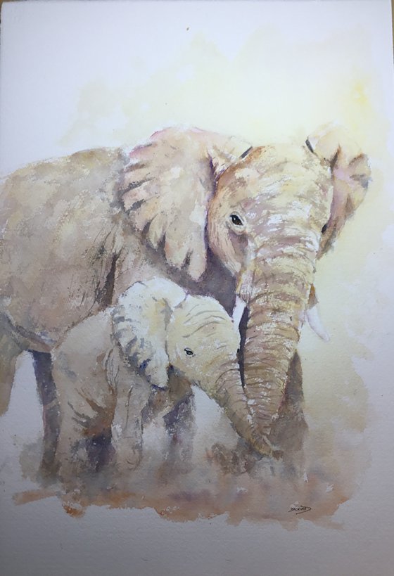 Elephants walking in the dust