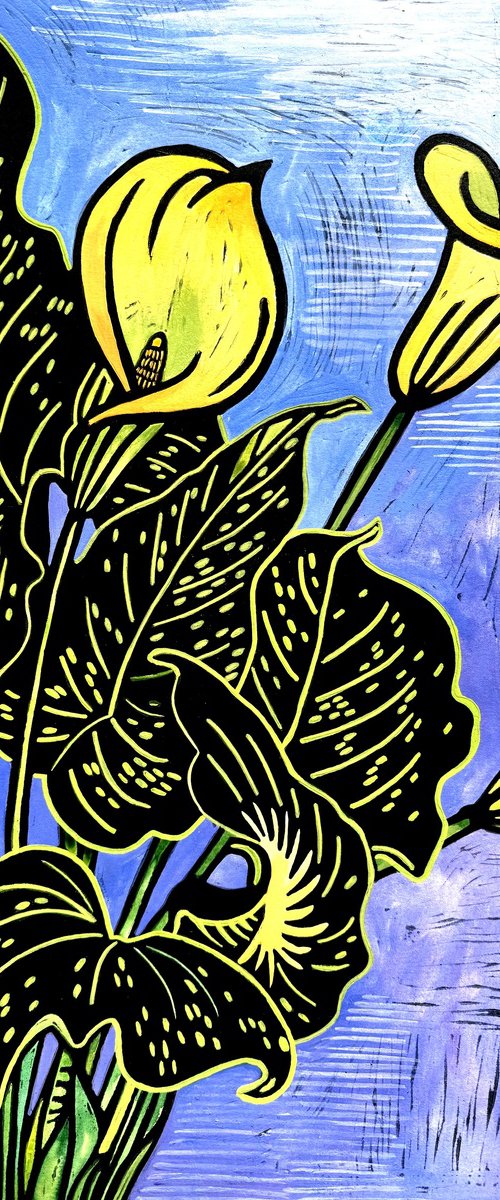 Calla Lilies by Laurel Macdonald