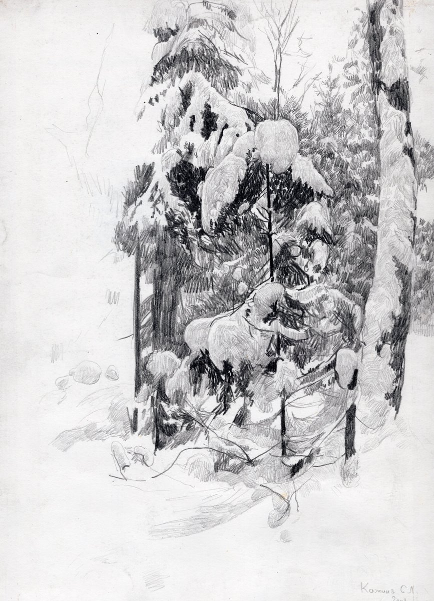 Snow clad fir by Simon Kozhin
