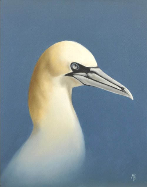 Gannet by Mike Skidmore