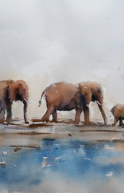 elephant 24 by Giorgio Gosti