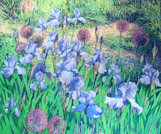 Irises dancing in the sun
