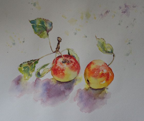 Two Autumn Apples - watercolor on paper