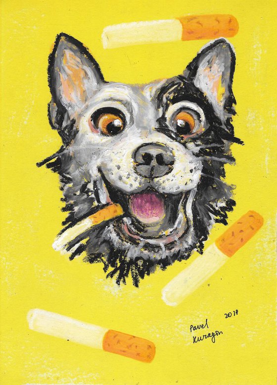 Dog and bad behaviors #11