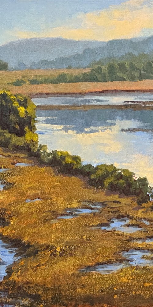 Tomales Bay Salt Marshes landscape by Tatyana Fogarty