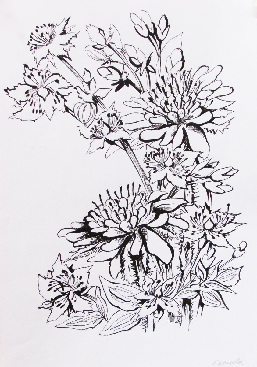 Photorealistic Botanical Ink Drawing By Kateryna Bortsova, 12 X 17", Ink Drawing Of Flowers, Original Artwork