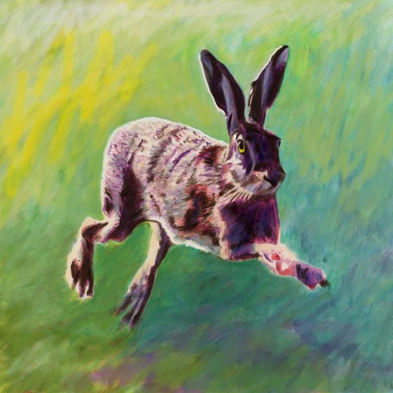 Joyful Hare
