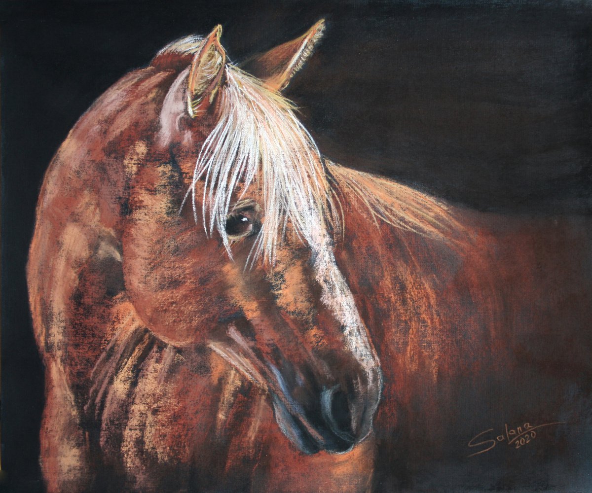 Impressionistic Pastel Drawing , Horse... Portrait Ii By Salana Art / Svetlana Samovarova, 14 X 12, Artwork For Sale On Artfinder