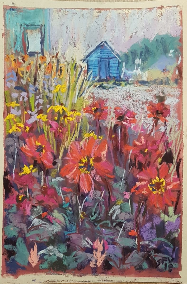 Dahlias and the blue shed by Silvia Flores Vitiello