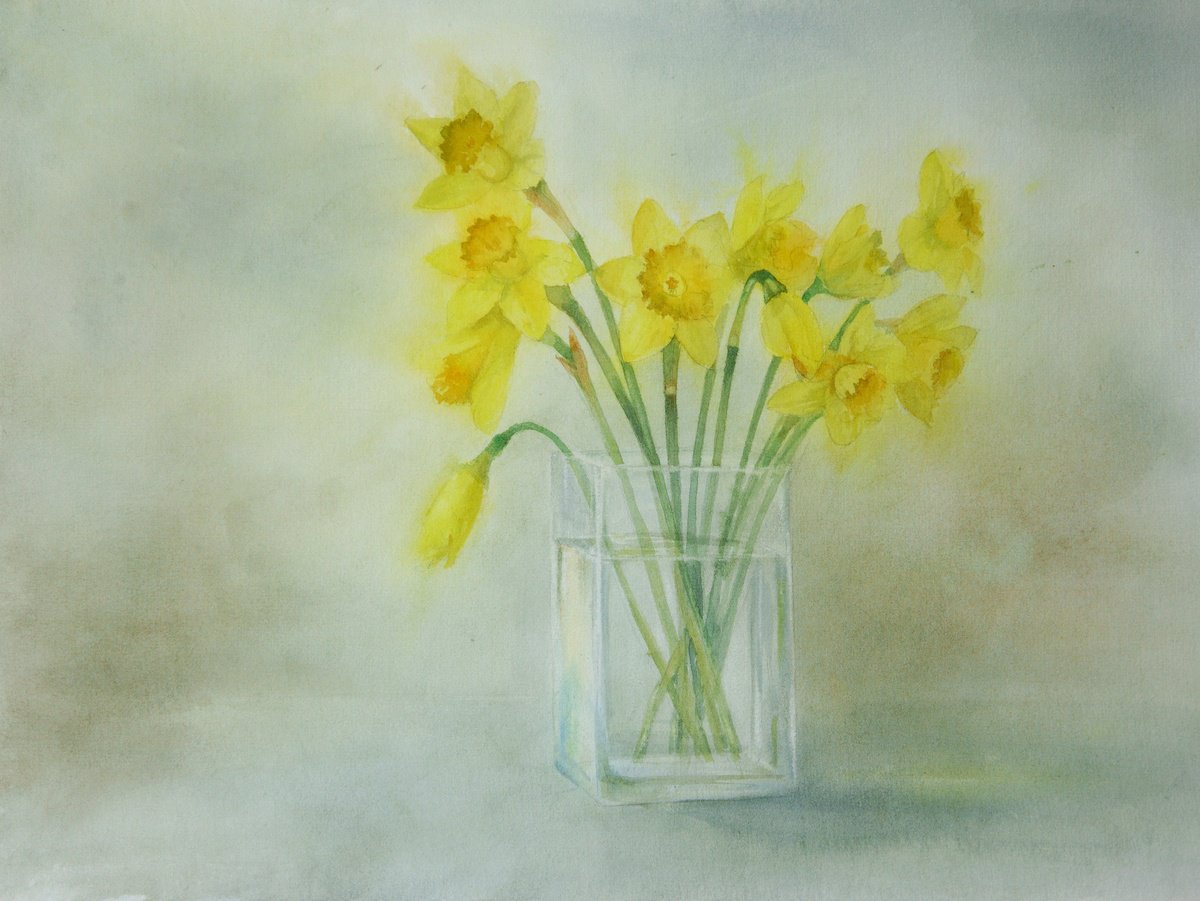 Watercolour Yellow Daffodils in Glass Vase by Olga Beliaeva Watercolour