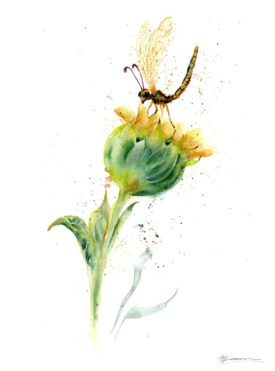 Expressive Botanical Watercolour By Olga Tchefranov (Shefranov), 10 X 14", Dragonfly On Flower, Original Artwork