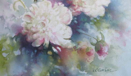 Peonies
