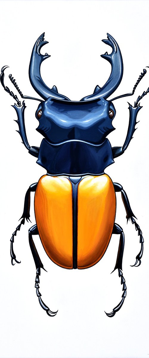 Stag Beetle #1 by Alex Nizovsky