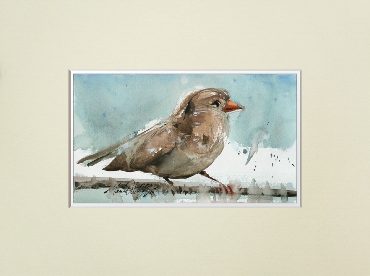 Little sparrow, watercolour painting, 2022 by Marin Victor