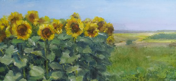 Landscape with sunflowers