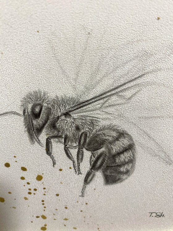 Bee and honey