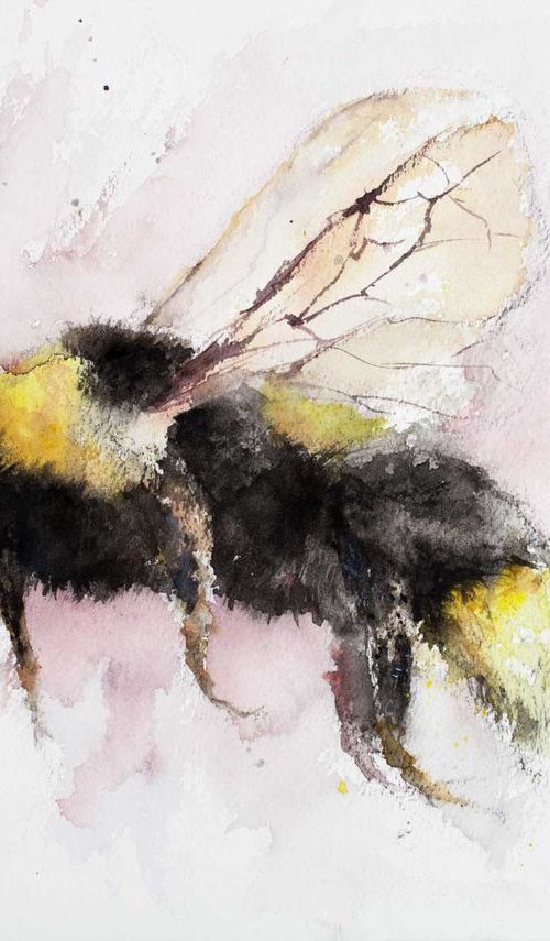 Bumblebee by Tomasz Mikutel