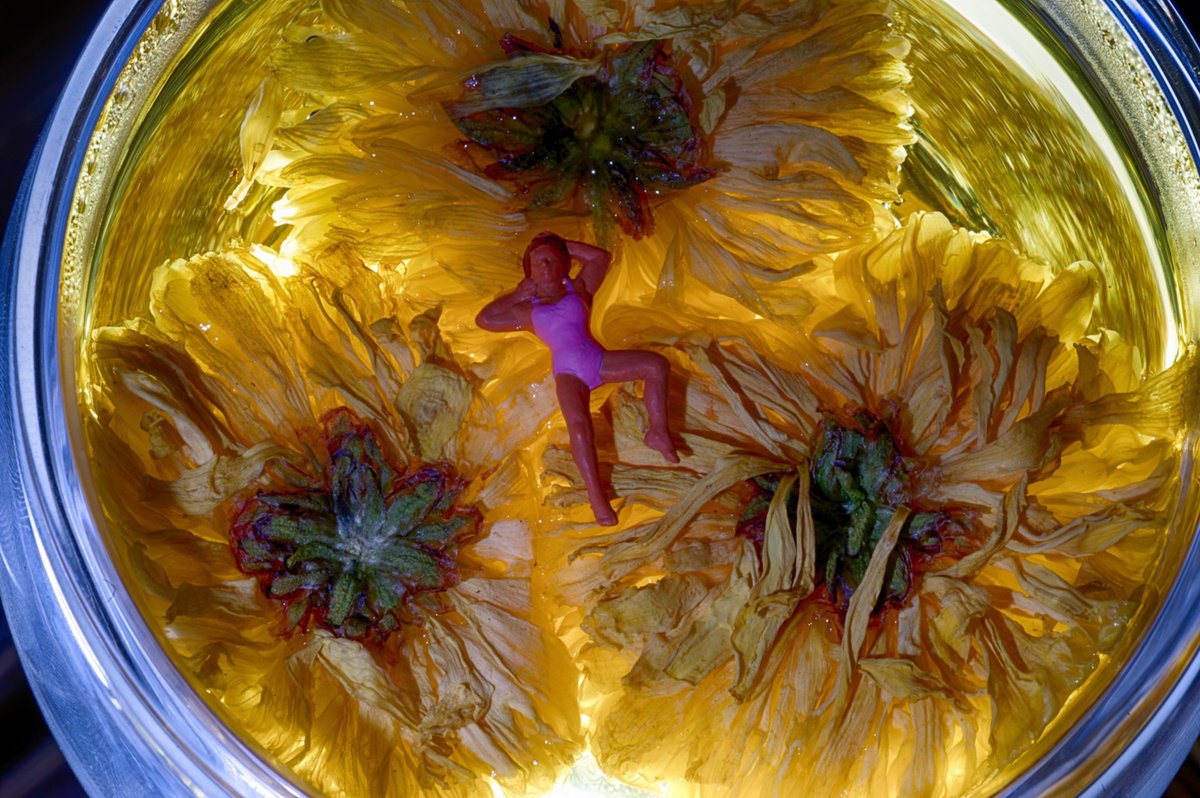 Organic Abstract Photograph By Marc Ehrenbold, 40 X 30", Flower Tea Dreaming, Original Artwork