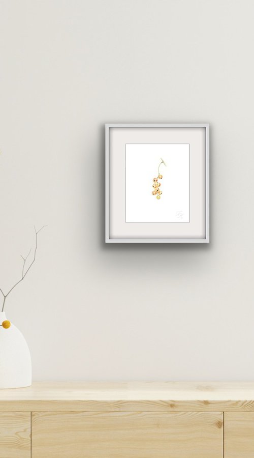 White currants by Tetiana Kovalova
