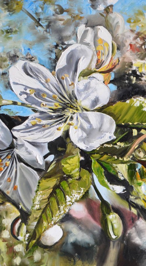 Cherry Blossom by Valeriia Radziievska
