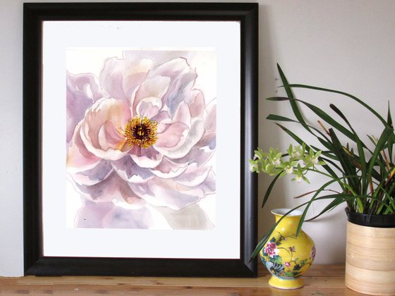 soft pink peony watercolor