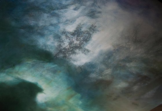 Forest Tales