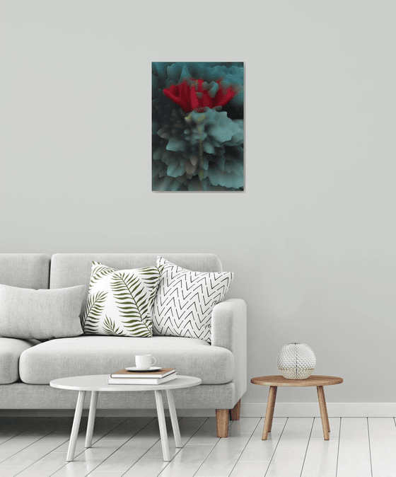 Abstract red rose