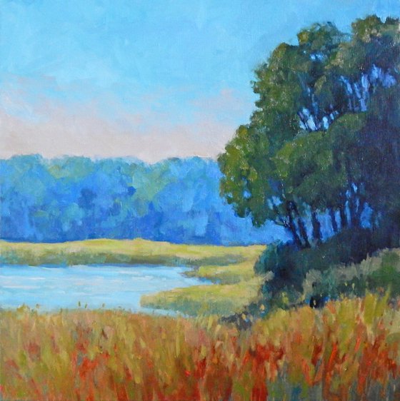 Afternoon at the Marsh