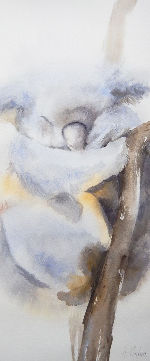 Watercolor koala by Alla Vlaskina