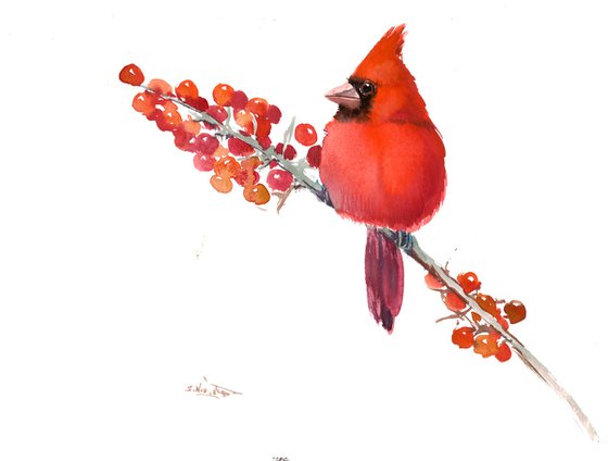 Cardinal Bird