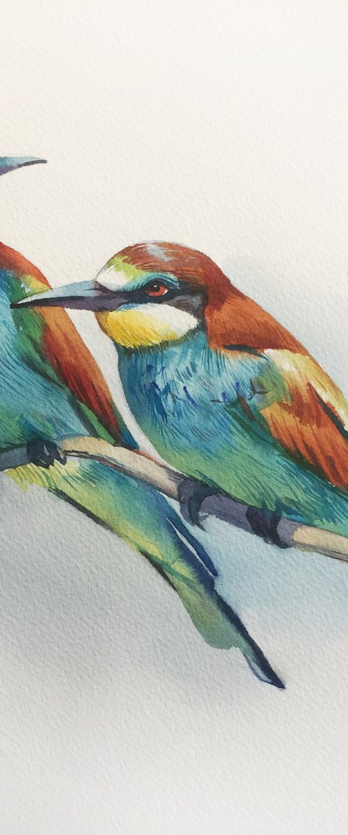 Bee-eats birds by Natalia Veyner
