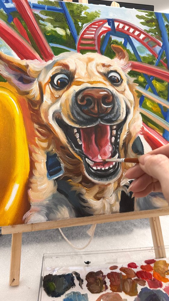 No Brakes | Dog on Rollercoaster