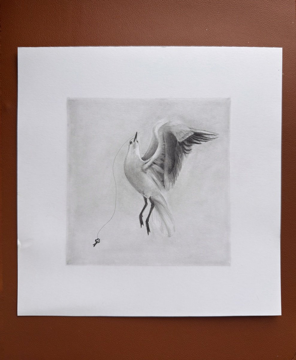 Photorealistic Pencil Drawing , Freedom By Anna Lyashenko, 8 X 8, Artwork For Sale On Artfinder