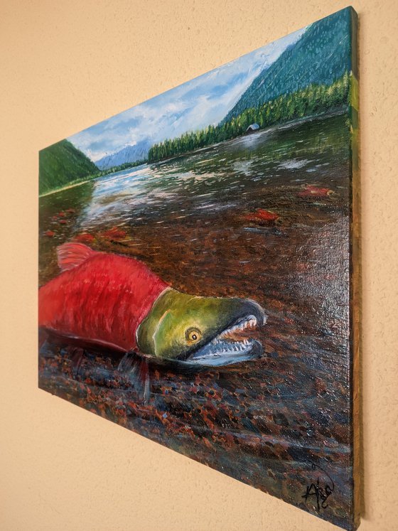 Journey of the Sockeye