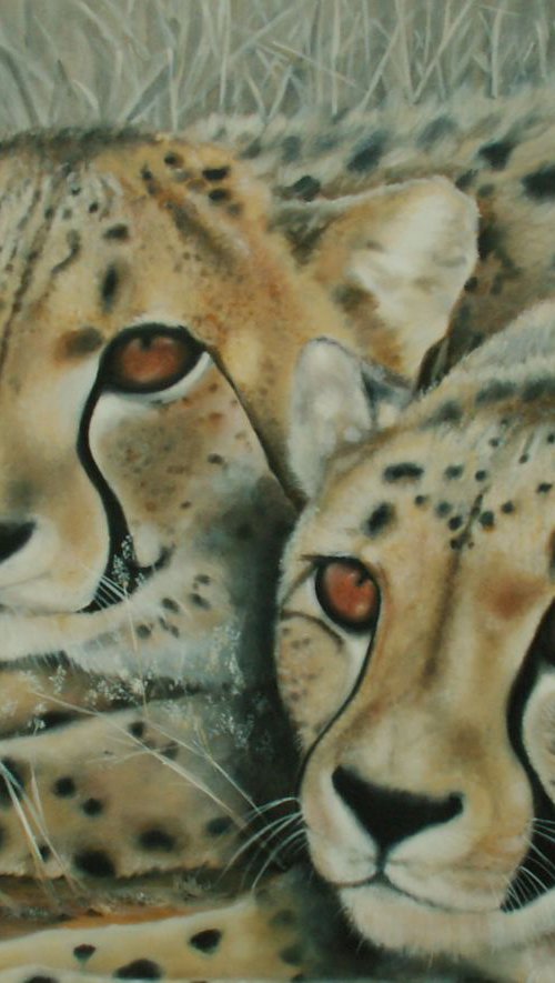 Cheetah, waiting by Mel Davies Original Art