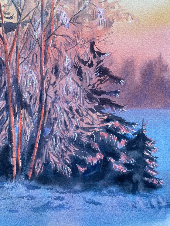 Pink Frost