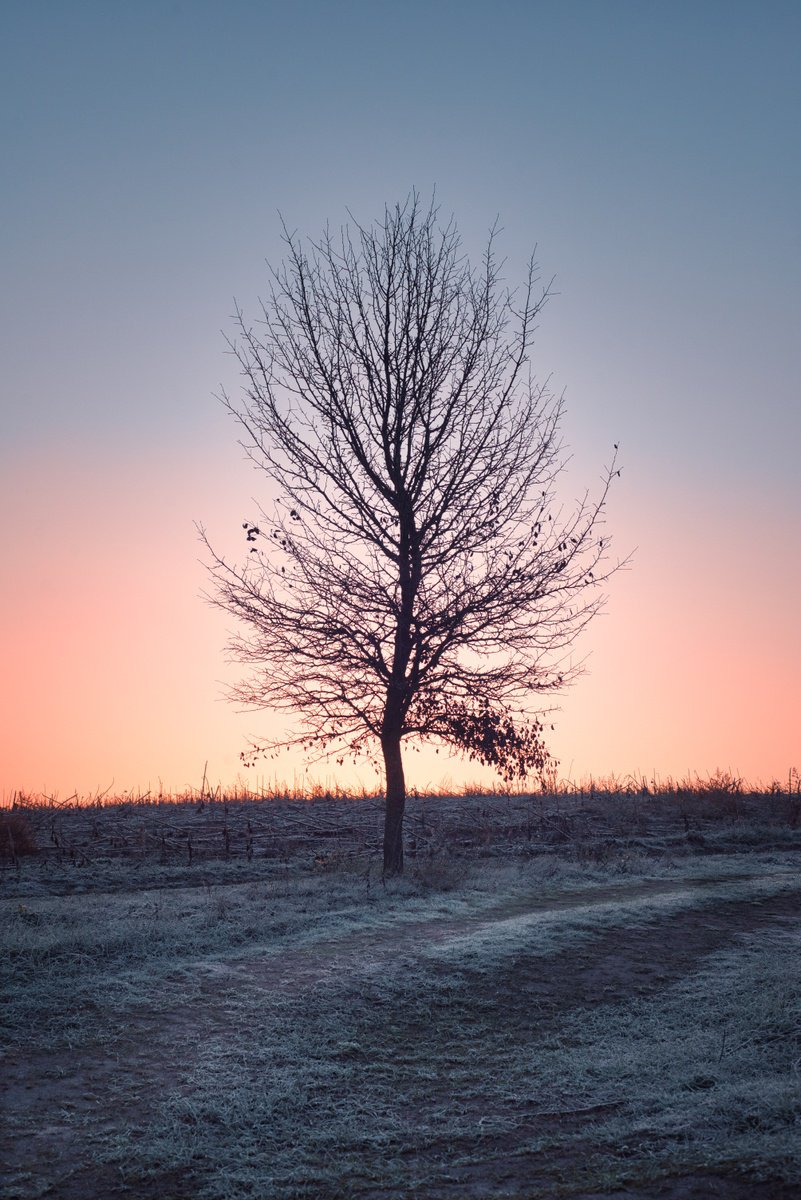Frosty morning by Vlad Durniev