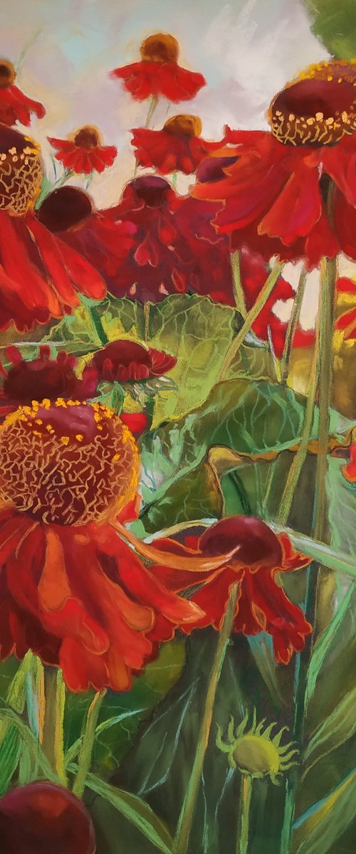 Red Coreopsis in the garden by Iryna Makovska