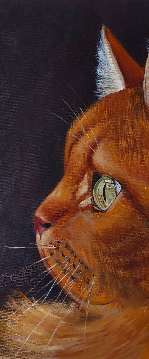 Emerald Gaze by Ira Whittaker