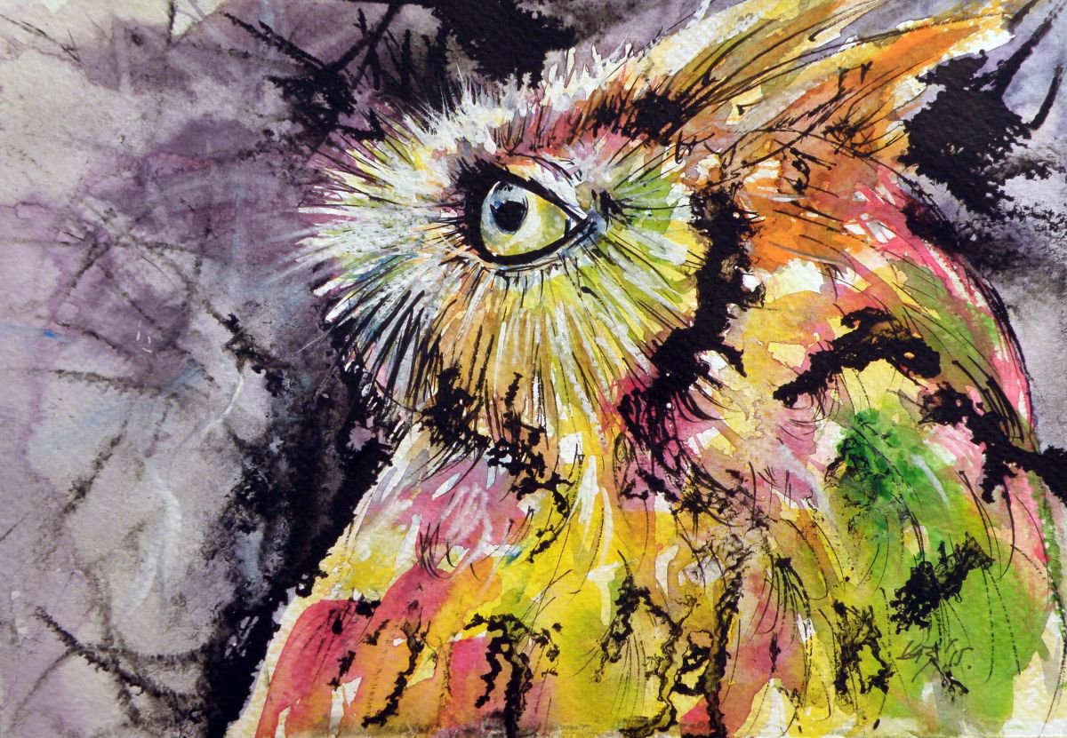 Owl by Kovacs Anna Brigitta