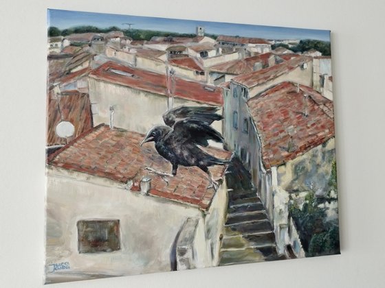 Crow On The Roof in Montpellier