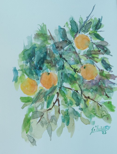 Oranges in Spring by Silvia Flores Vitiello