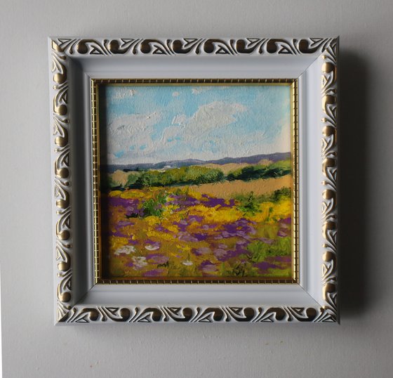Wildflowers Meadow and Sky