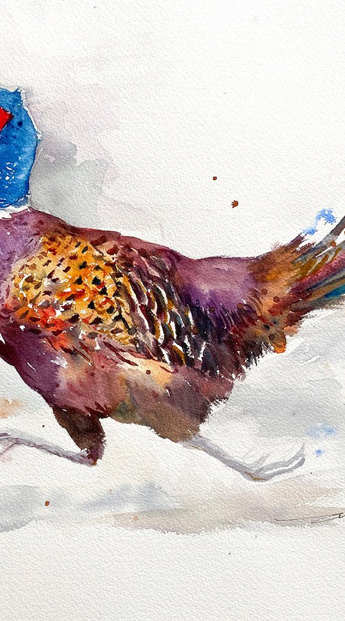 Rustle and Run_Pheasant by Arti Chauhan
