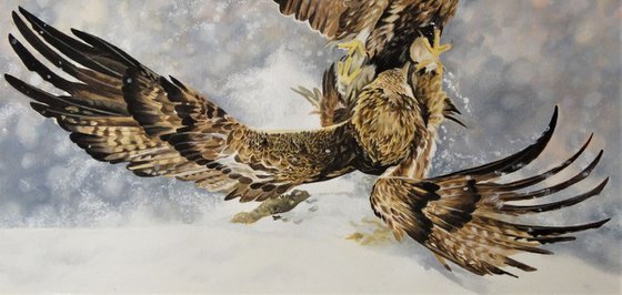 Eagle snow fight