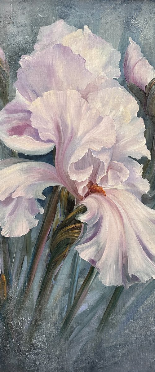 Grace and sophistication. lilac iris by Larisa Batenkova