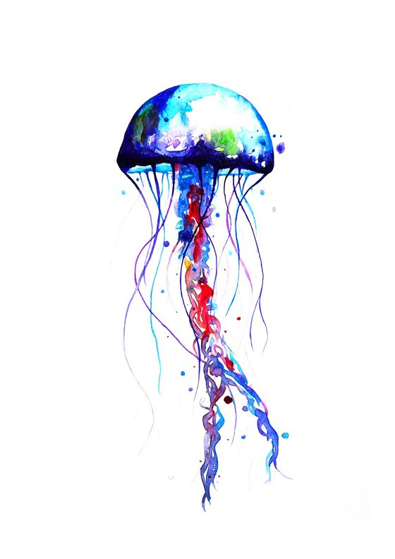 Jellyfish, watercolor
