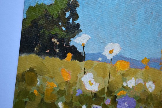 Floral Frontiers