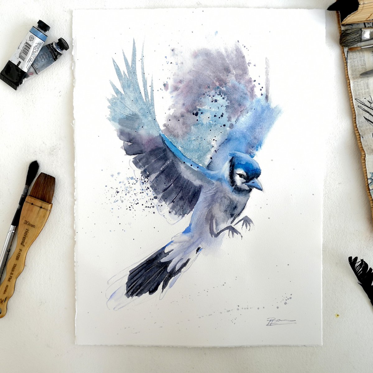 Flying Blue Jay Watercolour by Olga Shefranov (Tchefranov) | Artfinder