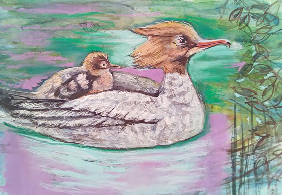 Merganser Mum